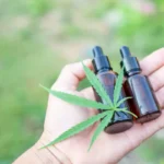cannabis-H4CBD