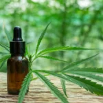 CBD pour maigrir