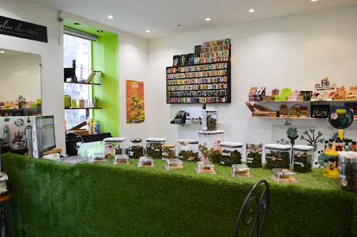 CBD aix en provence